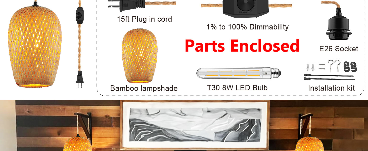 Plug in Pendant Light (4)