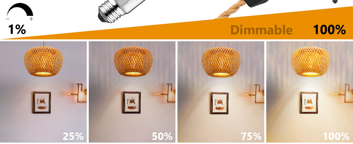Plug in Pendant Light (3)
