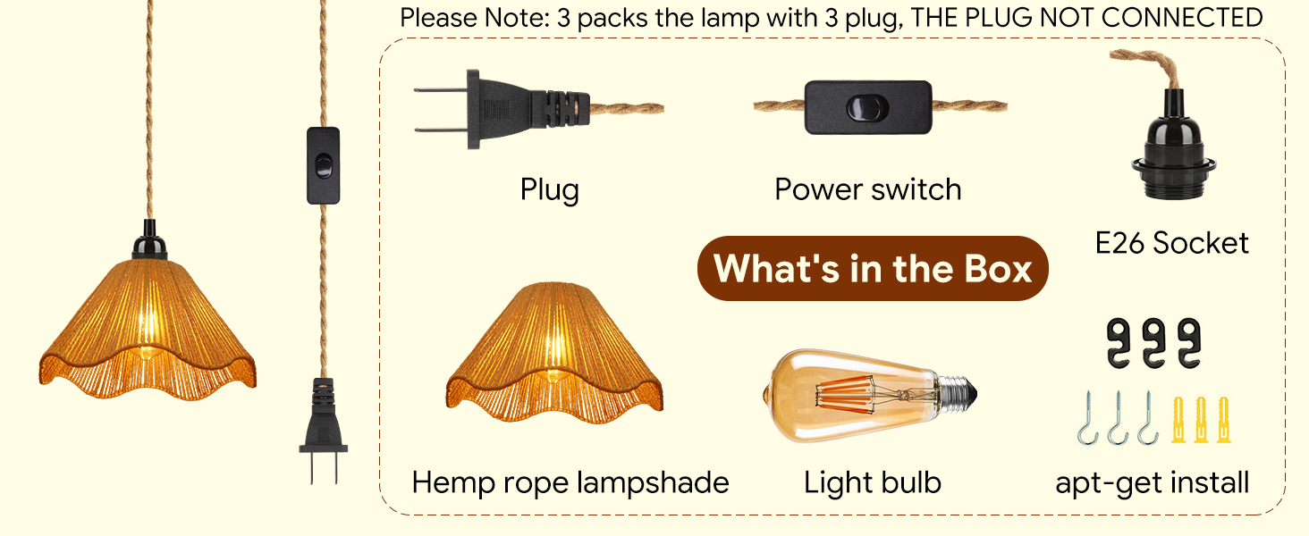 Plug in Pendant Light (4)