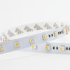 Color Temperature Adjustable LED Commercial Strip Light 5050SMD Chip Household Hot Wholesale Strip Lights