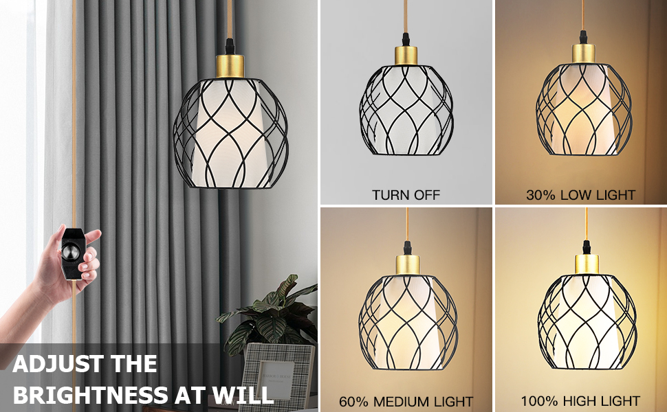 Plug in Pendant Light (6)