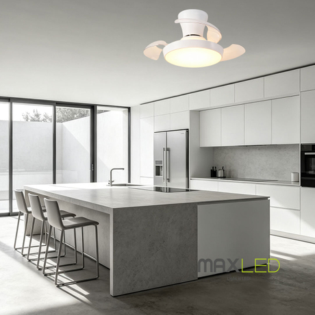 480-17452.jpg