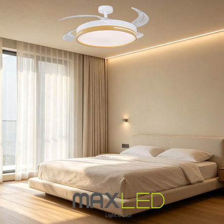 372-59554.jpg