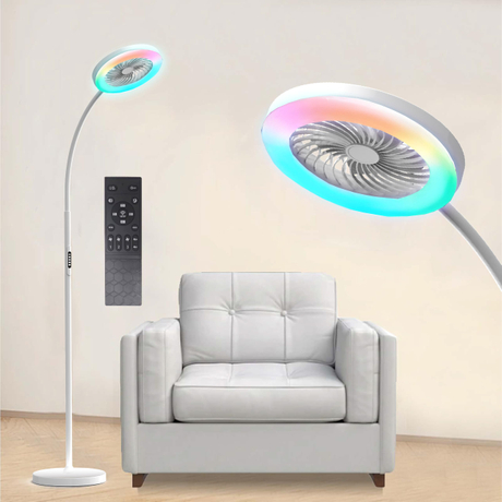Floor Lamp with Fan Fan Light (1).jpg