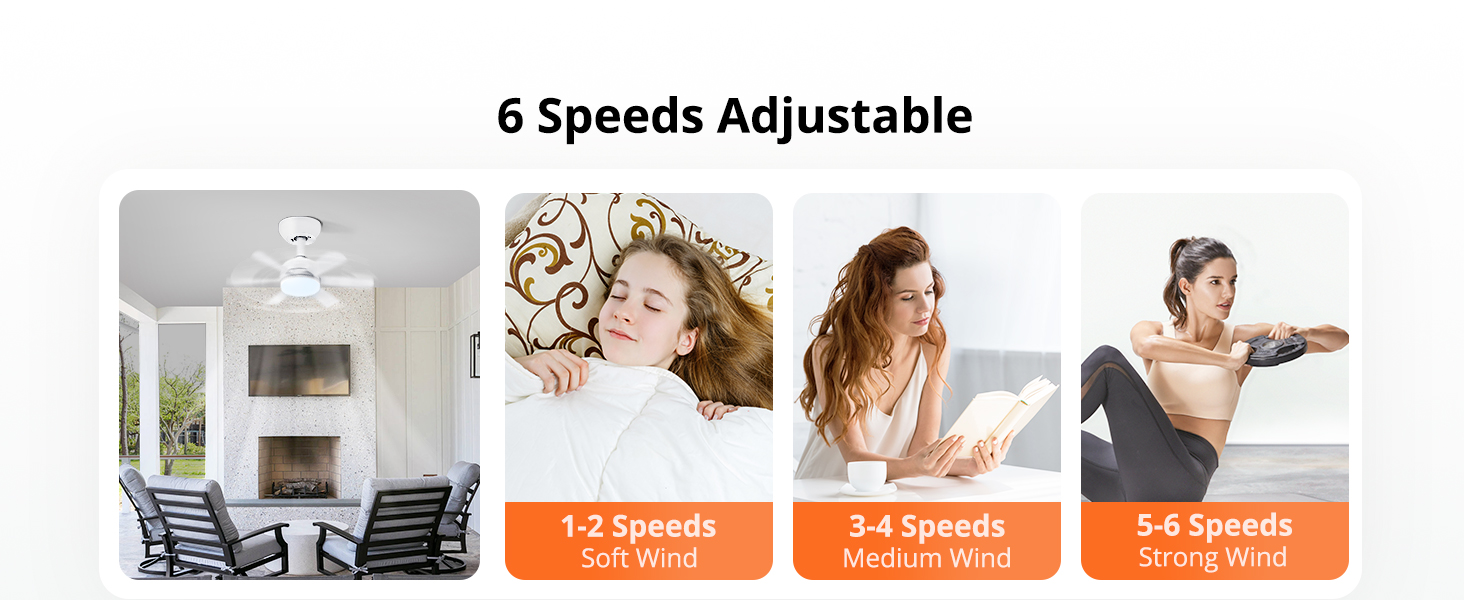 Socket Fan Light with Remote (5)