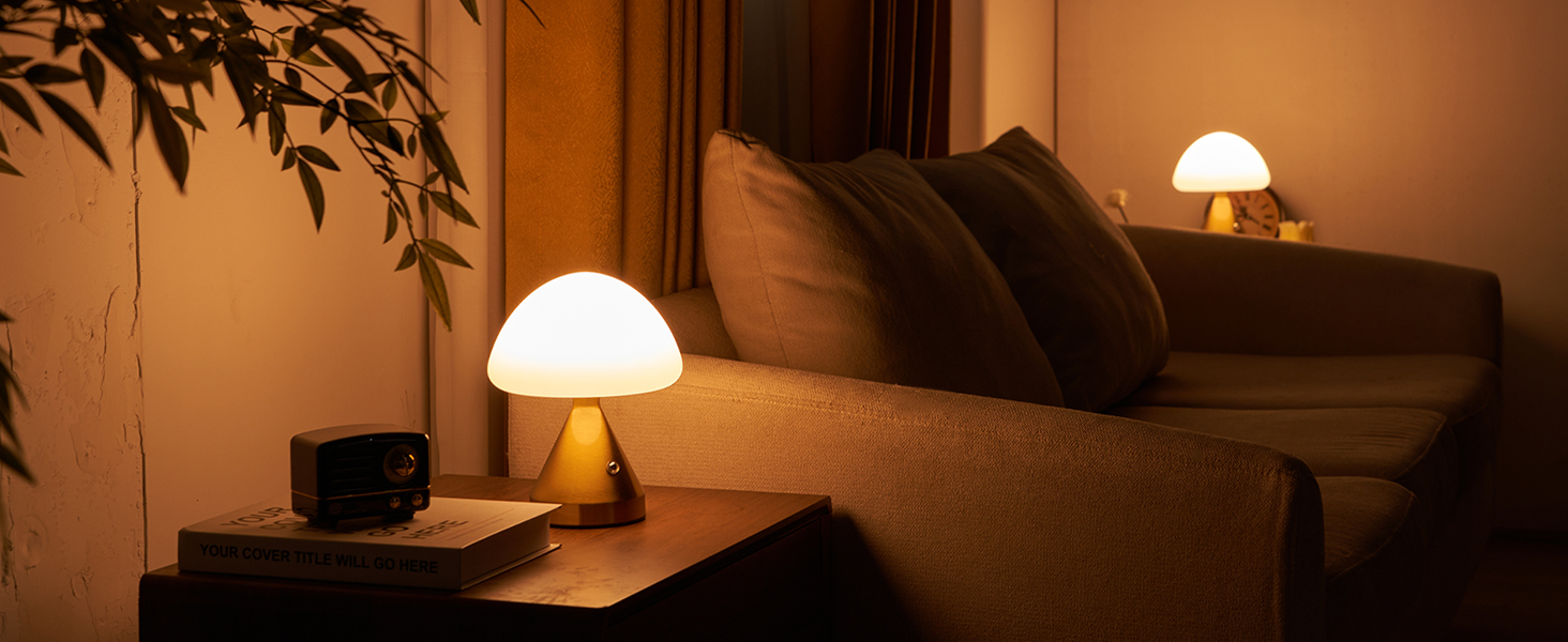 Cordless Small Mushroom Lamp (13)