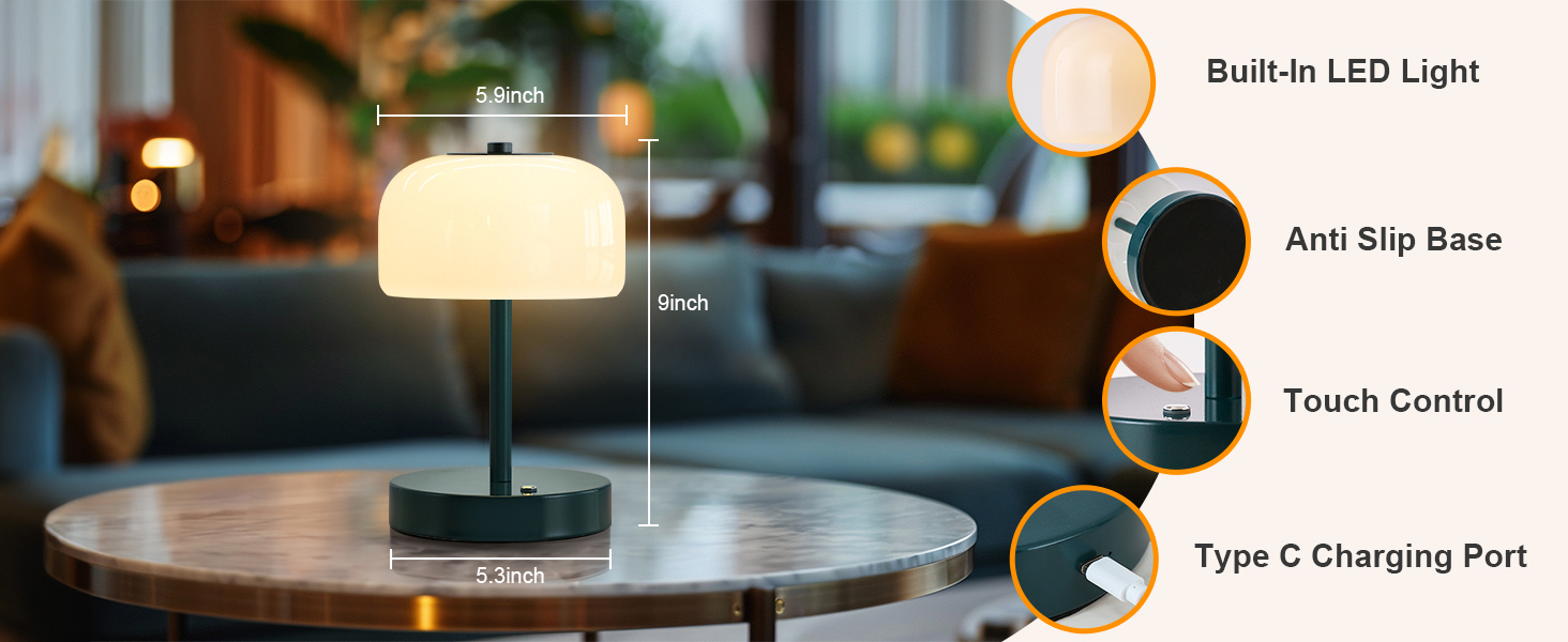 Cordless Table Lamp (3)
