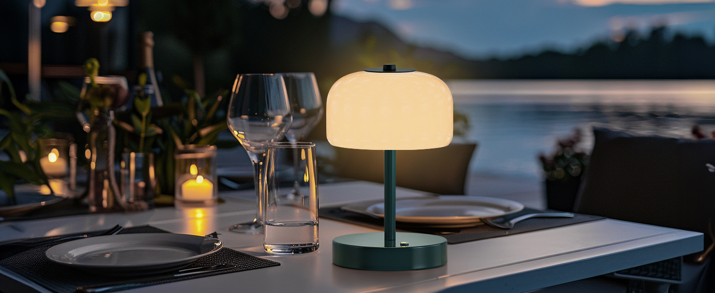Cordless Table Lamp (9)