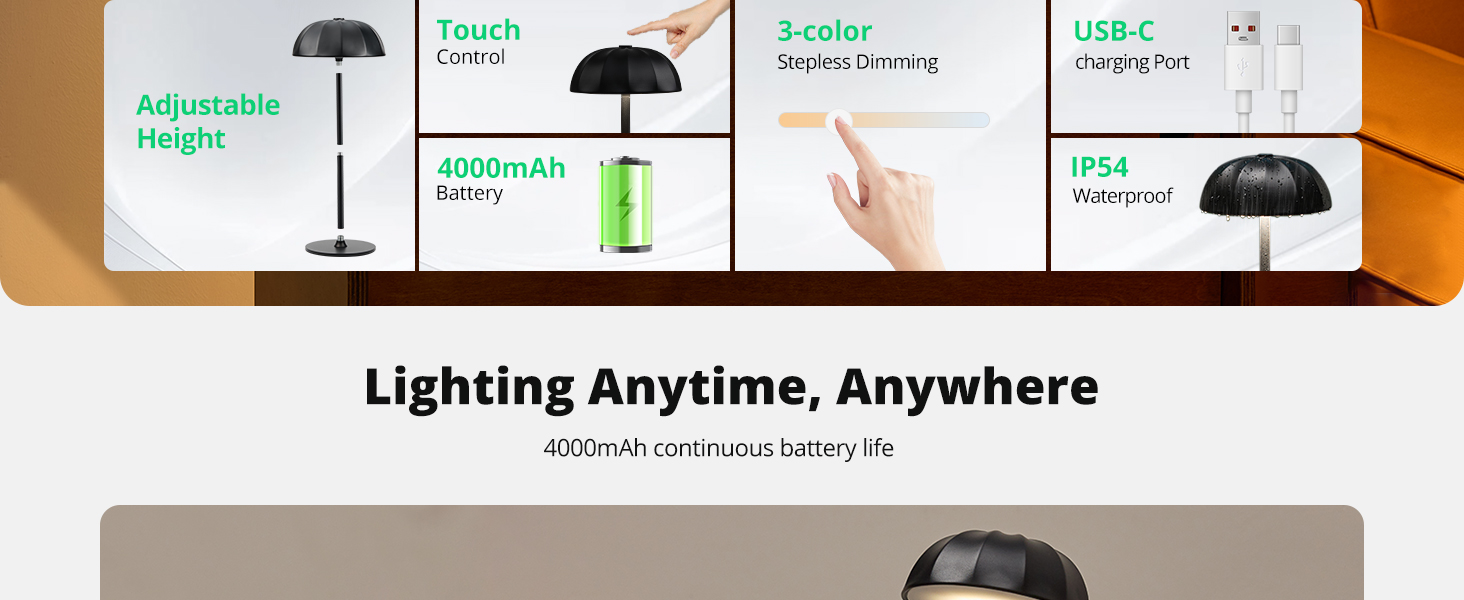 Cordless Table Lamp (2)