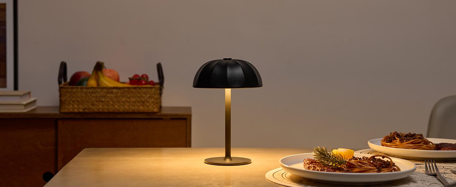 Cordless Table Lamp (11)