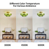 Ceiling Lights Flush Mount Ceiling Light Glass Ceiling Light Gold Base Modern Light Fixture for Hallway Living Room Kitchen Bedroom 3 Bulbs