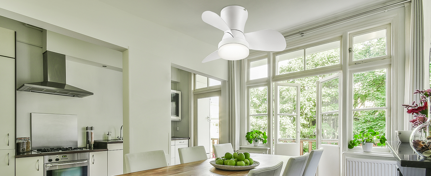 Ceiling Fans with Lights and Remote (11)