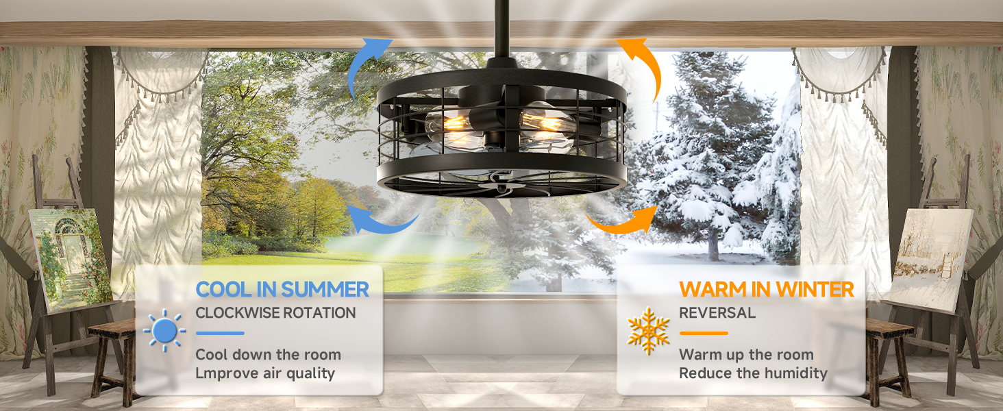 Caged Ceiling Fan with Light (3)