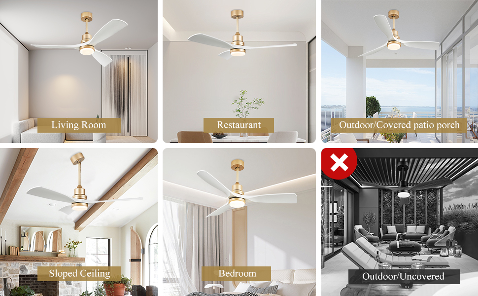 Ceiling Fans (15)