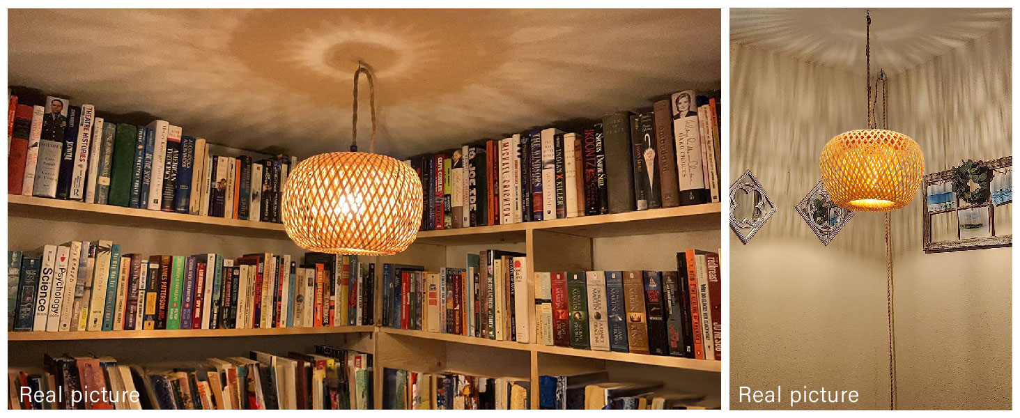 Plug in Pendant Light (6)