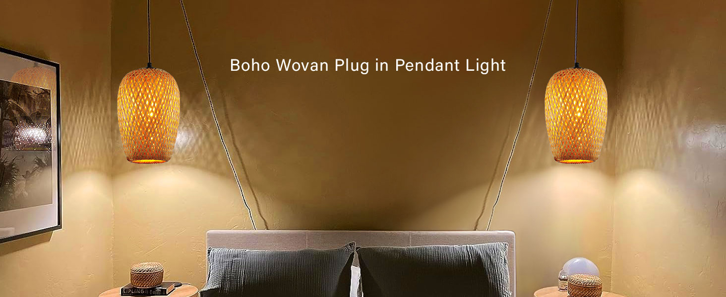 Plug-in-Pendant-Light-(1)