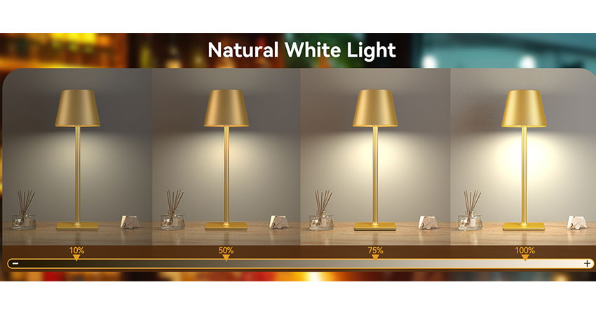 Cordless Table Lamp (3)