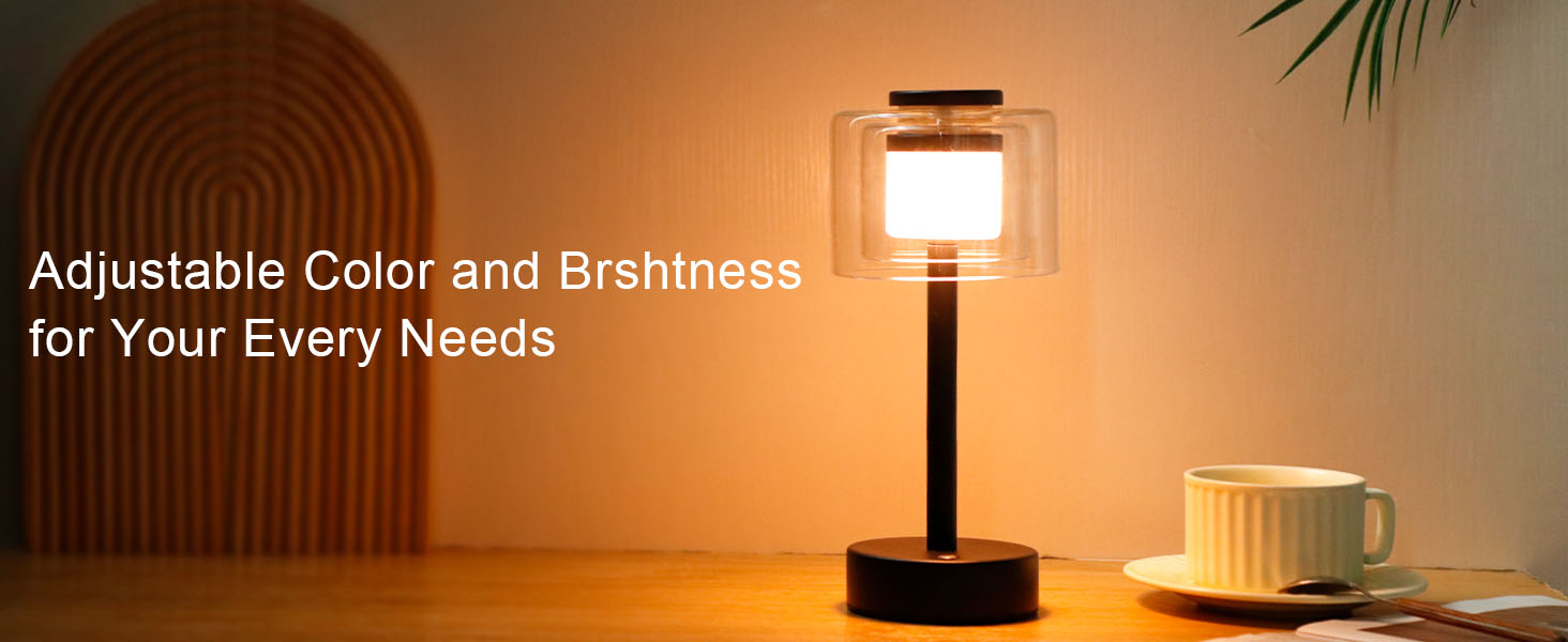 Industrial Touch Control Table Lamp (6)