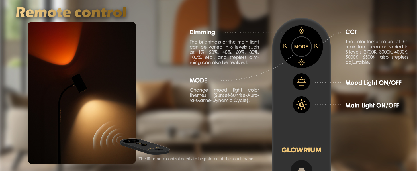 Reading Floor Lamp (15)